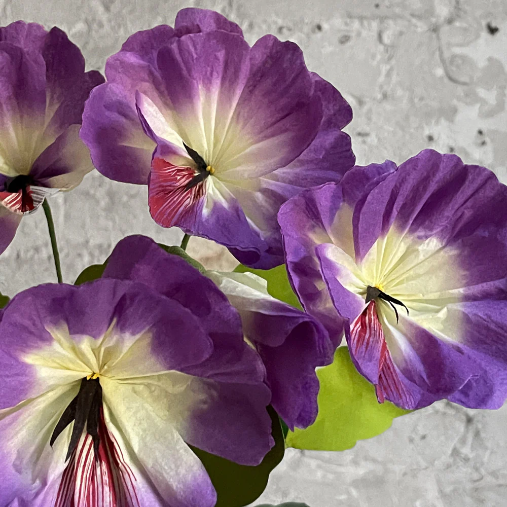 The Green Vase Potted Pansy Plant - Image 2