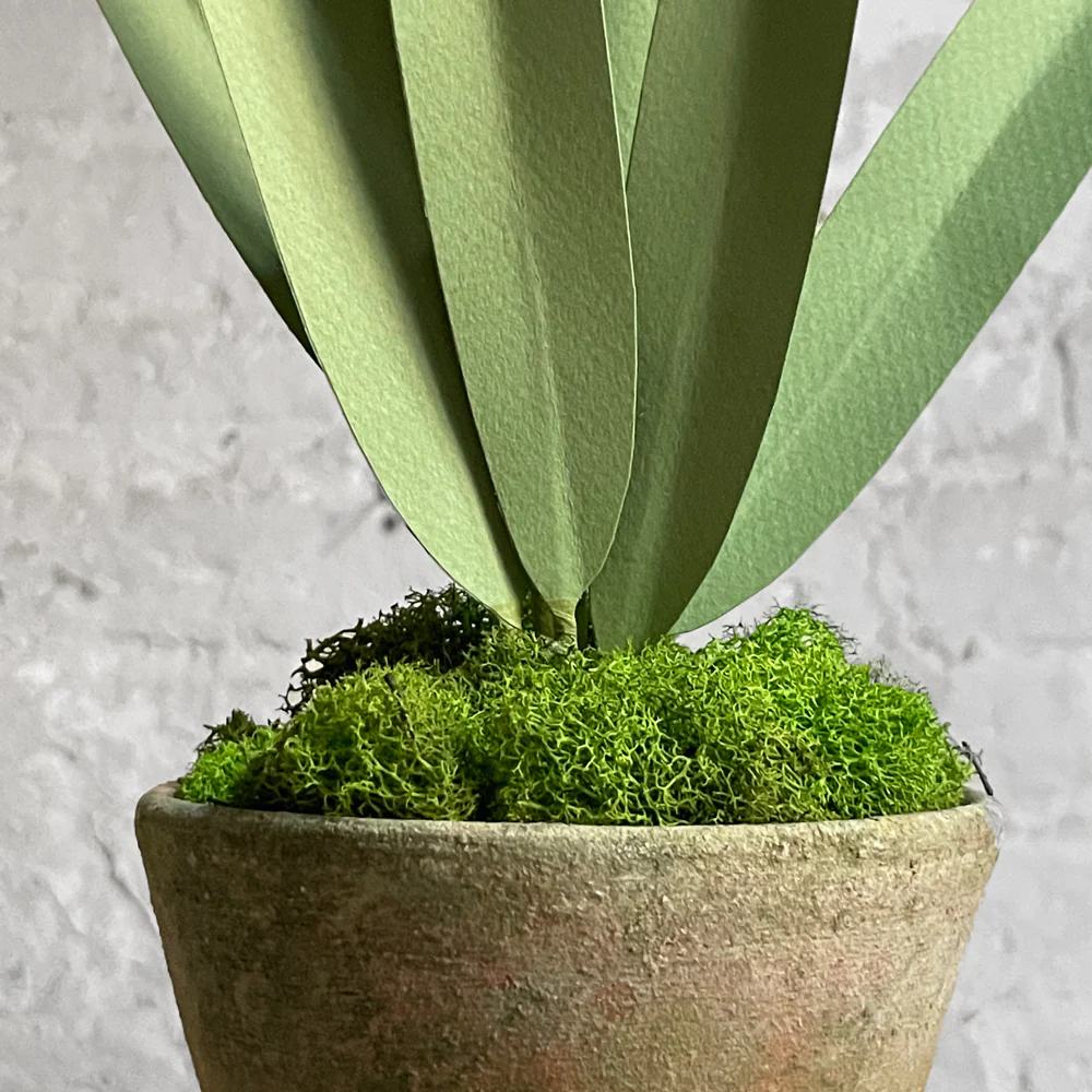 The Green Vase Potted Paper White Plant - Image 2