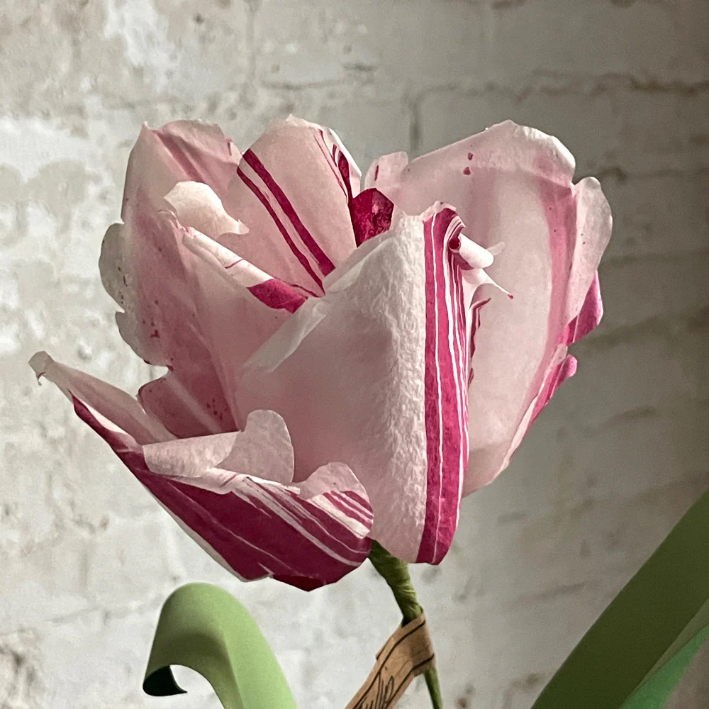 The Green Vase Potted Parrot Tulip - Image 2