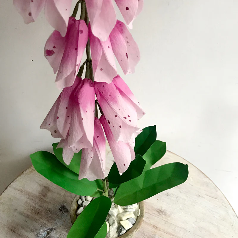The Green Vase Potted Pink Foxglove - Image 2