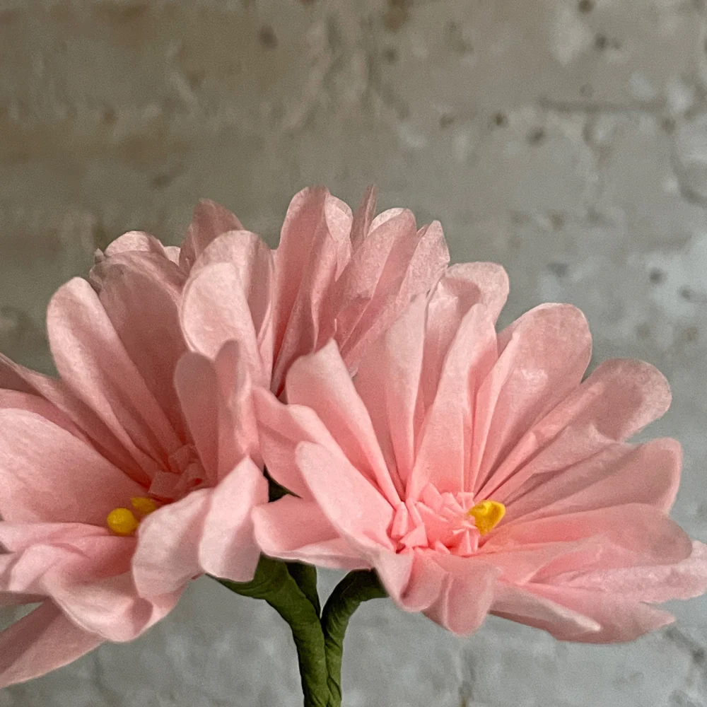 The Green Vase Potted Mini Pink Geranium - Image 2