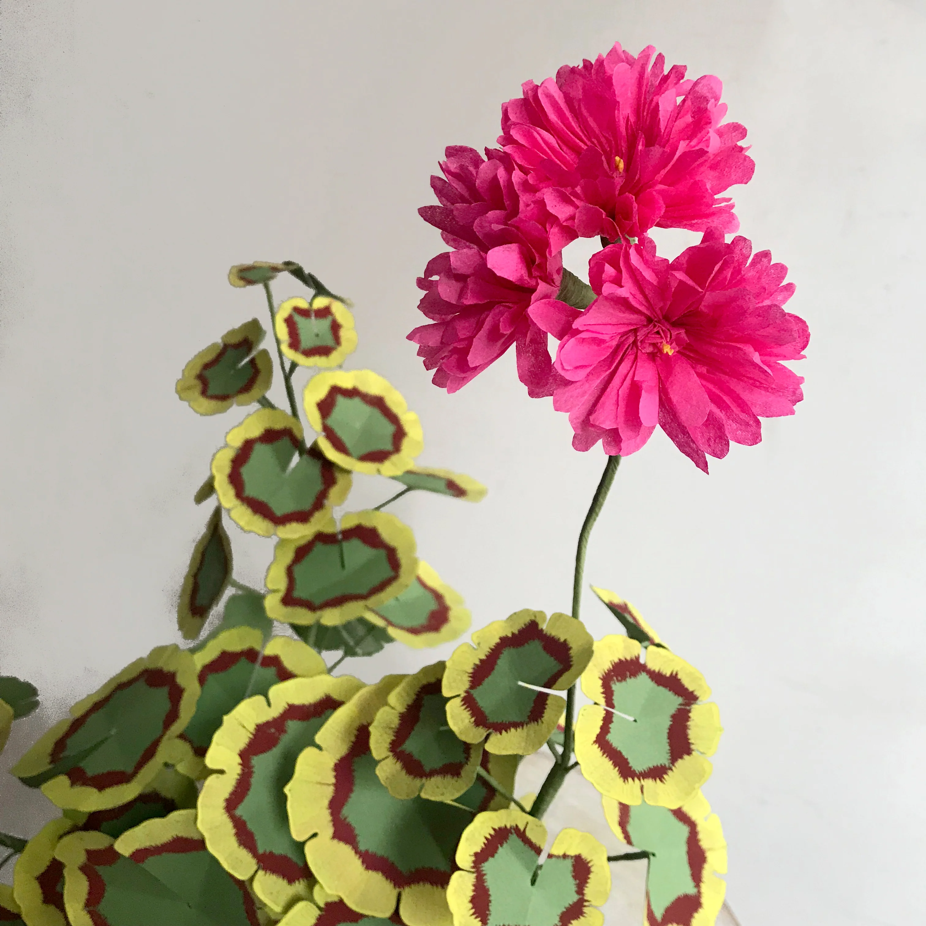 The Green Vase Potted Double Pink Geranium - Image 2