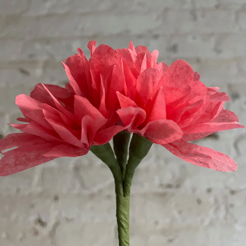 The Green Vase Potted Mini Pink Geranium Plant - Image 4