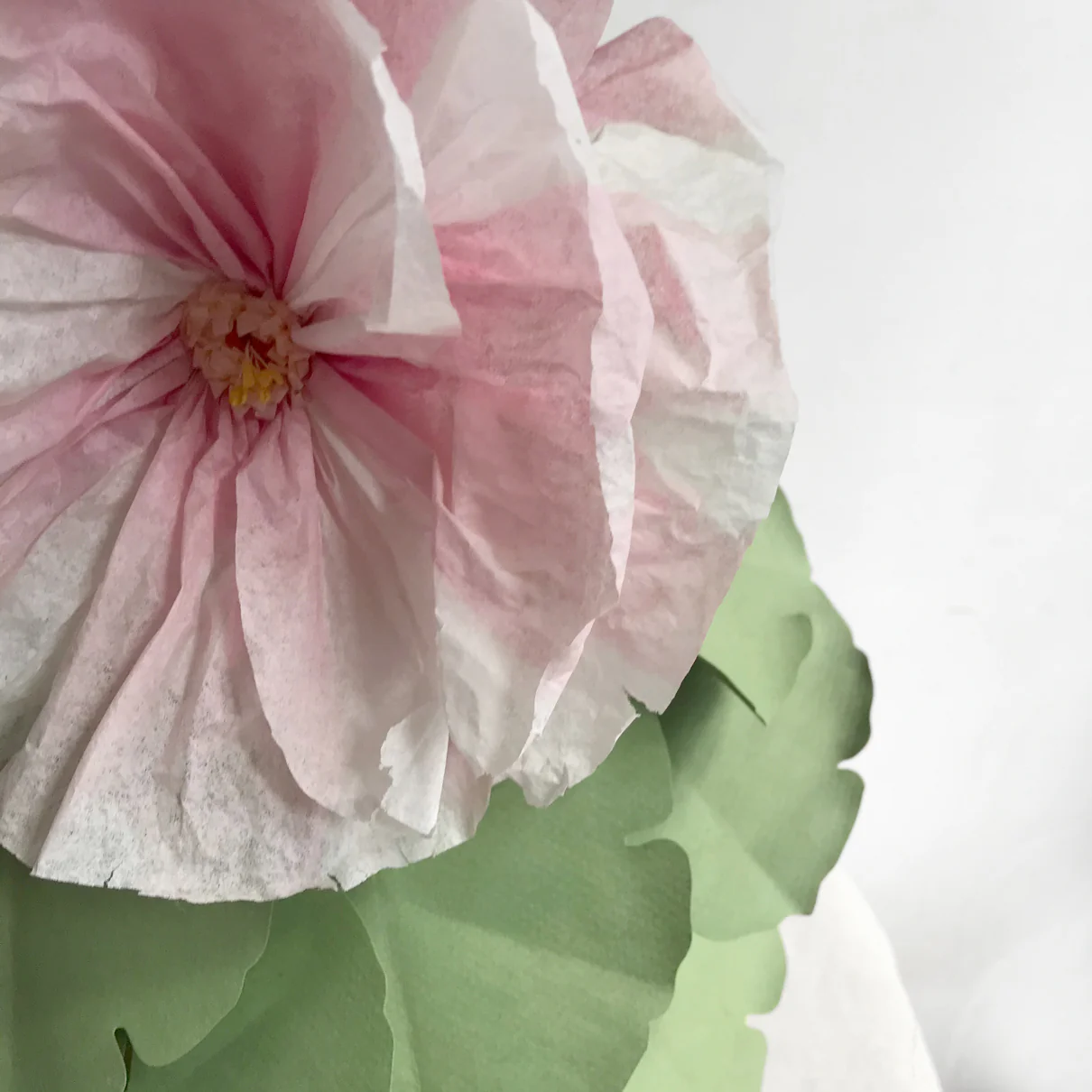 The Green Vase Potted Pink Hollyhock - Image 2