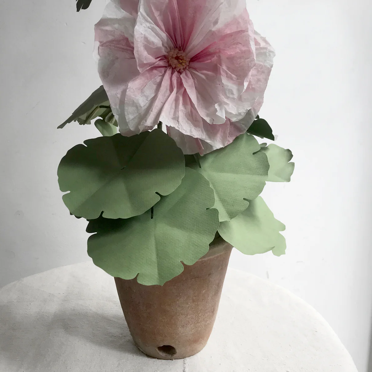 The Green Vase Potted Pink Hollyhock - Image 3