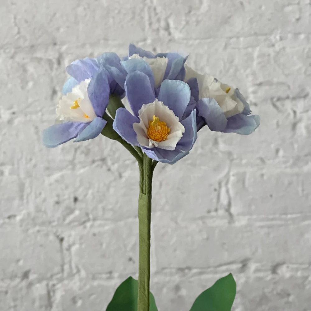 The Green Vase Potted Primula Plant - Image 2
