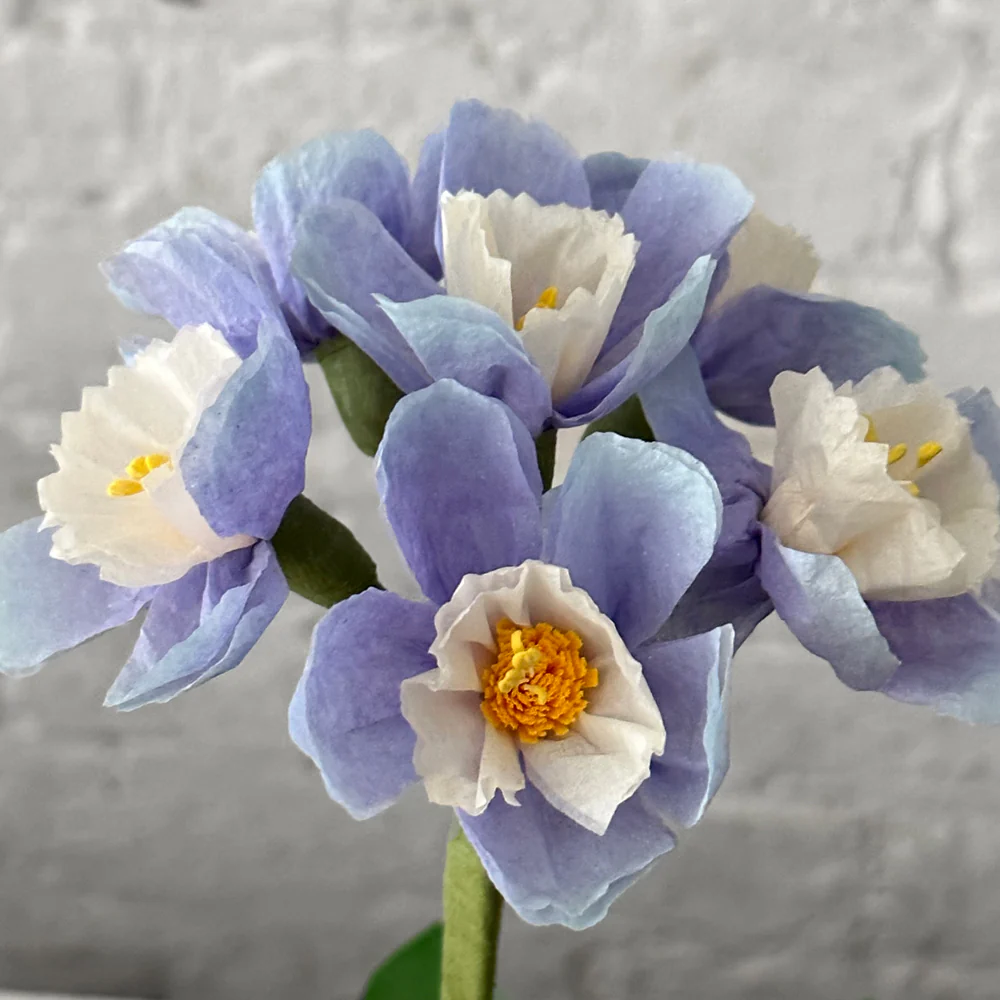 The Green Vase Potted Primula Plant - Image 3