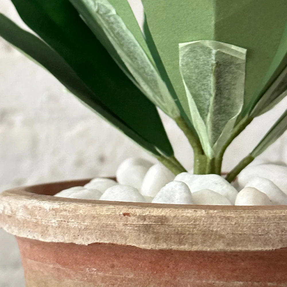 The Green Vase Potted Primula Plant - Image 4