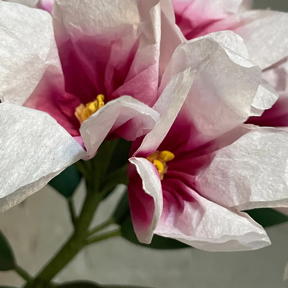 The Green Vase Potted Rhododendron - Image 2