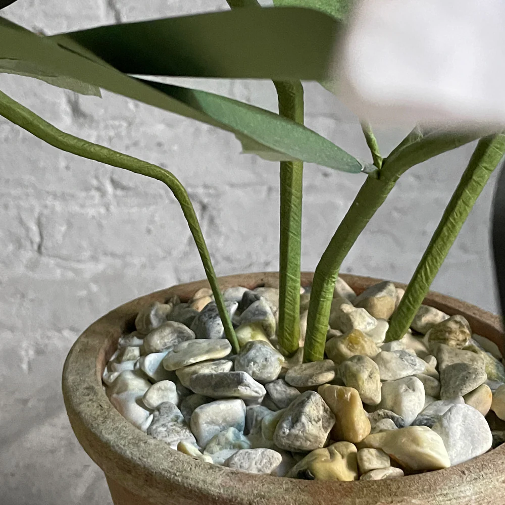 The Green Vase Potted Rhododendron - Image 3