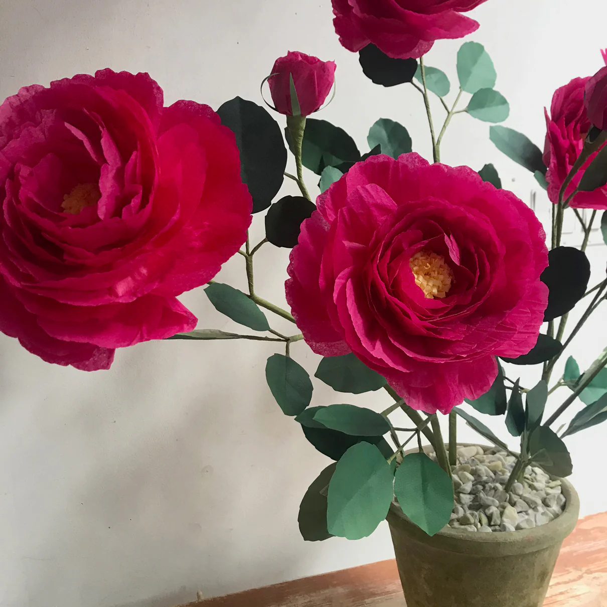 The Green Vase Potted Floribunda Rose - Image 2