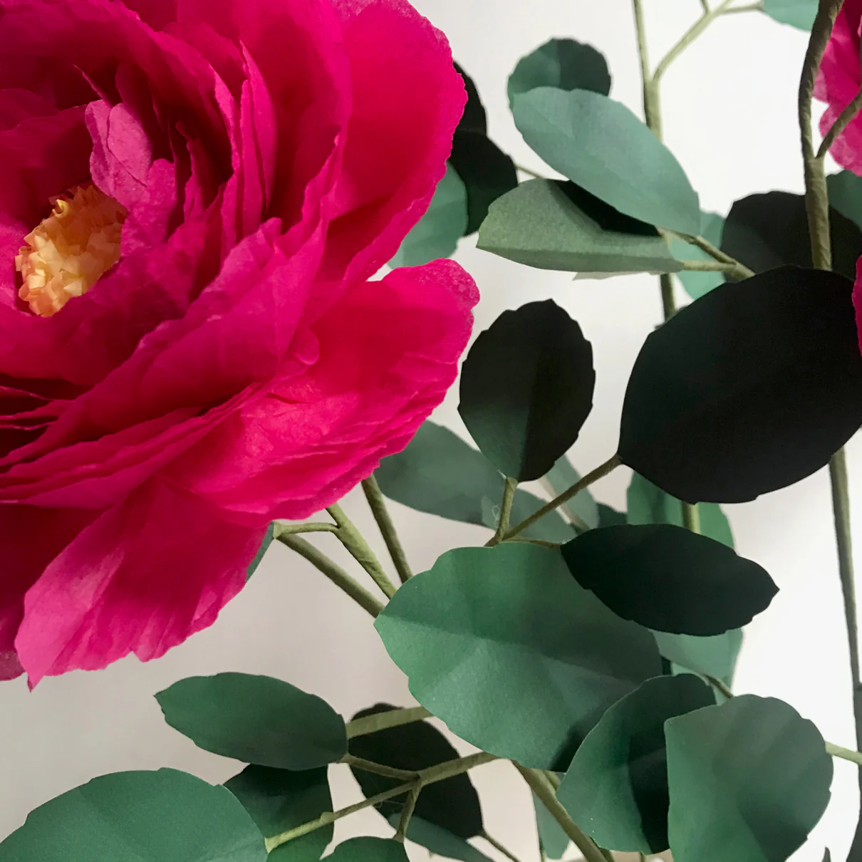 The Green Vase Potted Floribunda Rose - Image 3
