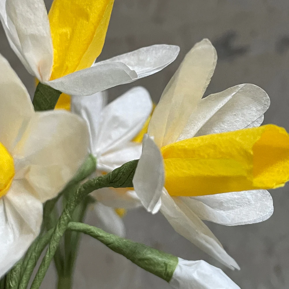 The Green Vase Potted Yellow Narcissus - Image 3