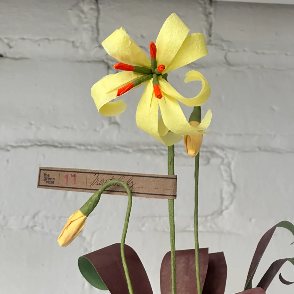 The Green Vase Trout Lily - Image 5