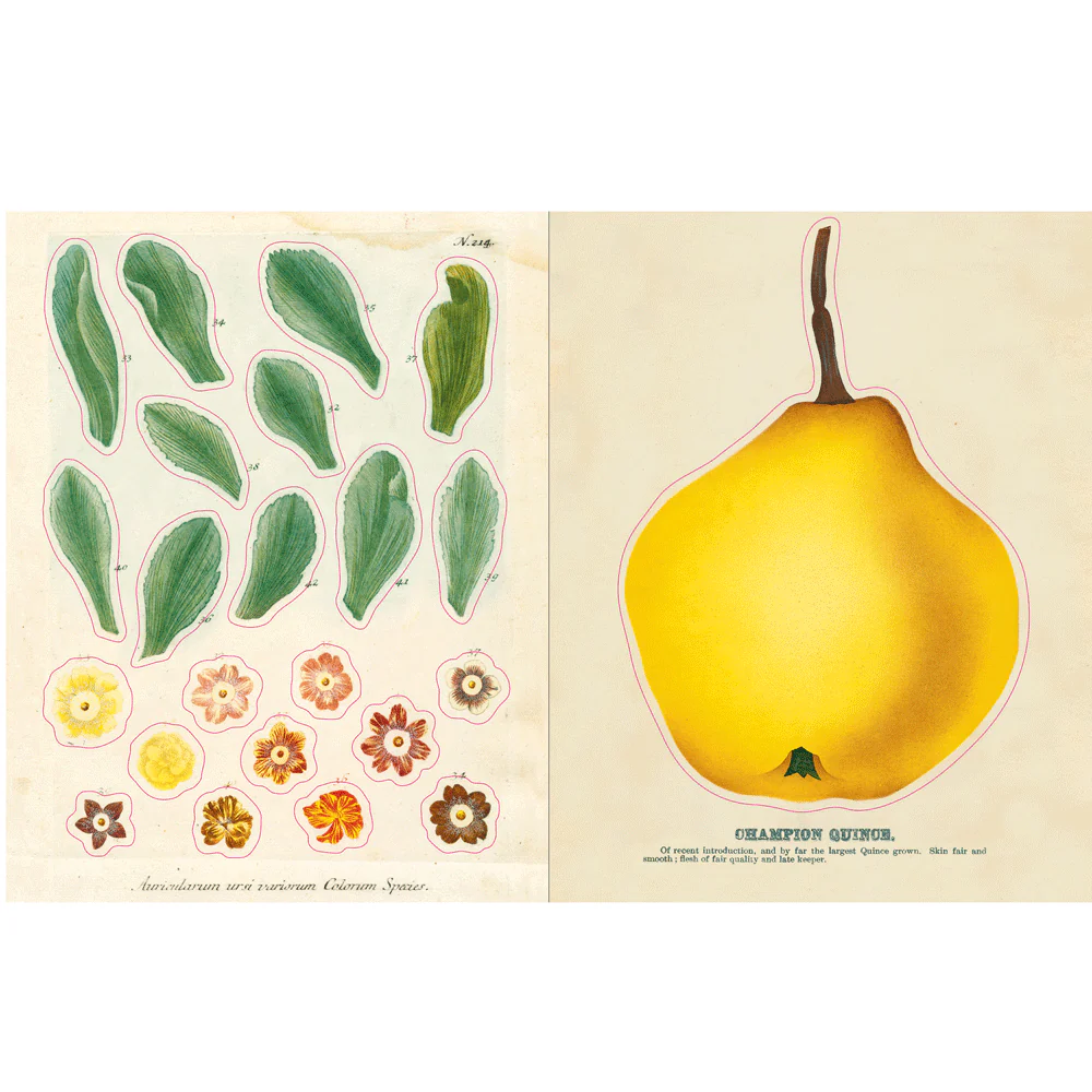 John Derian Sticker Book - Image 2