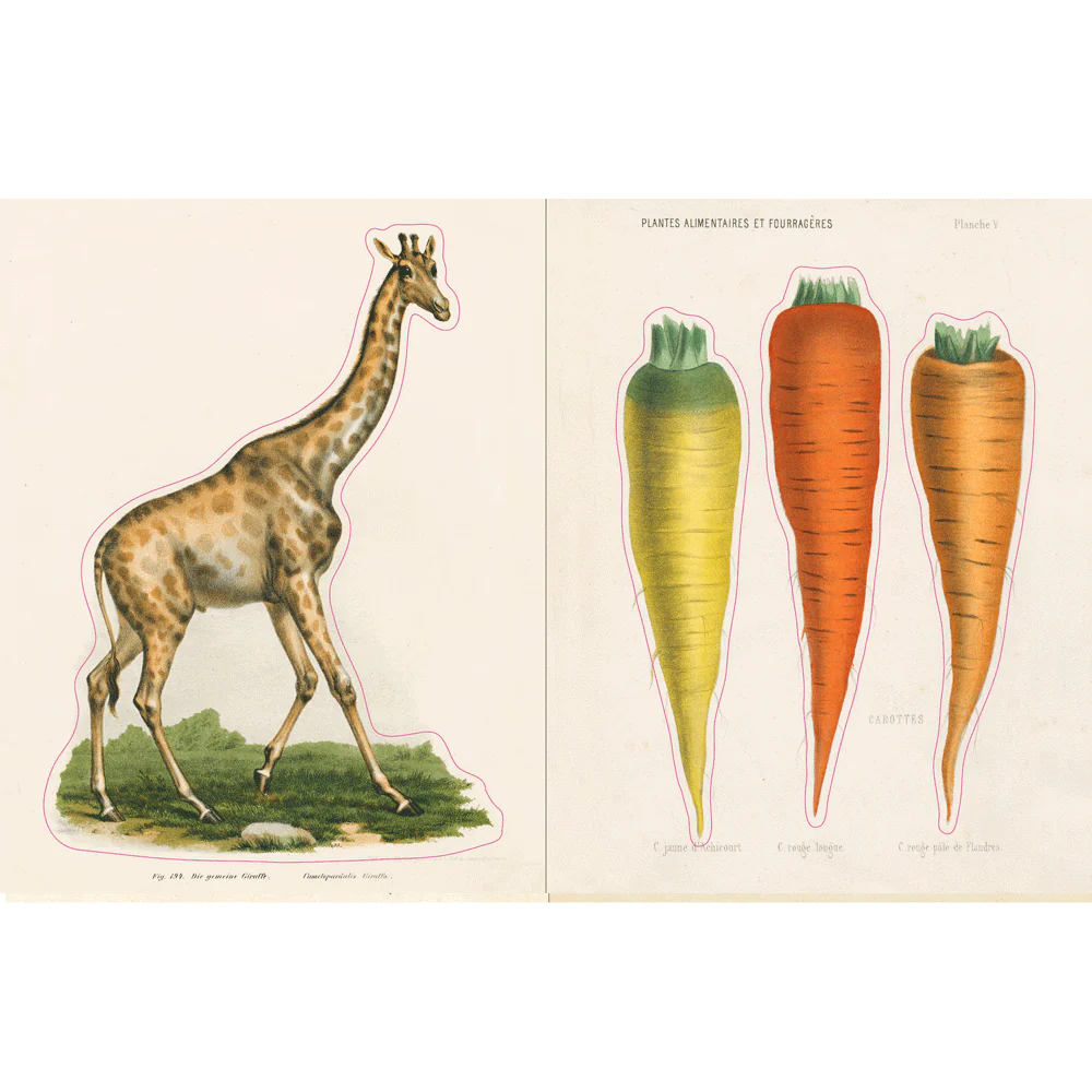 John Derian Sticker Book - Image 3