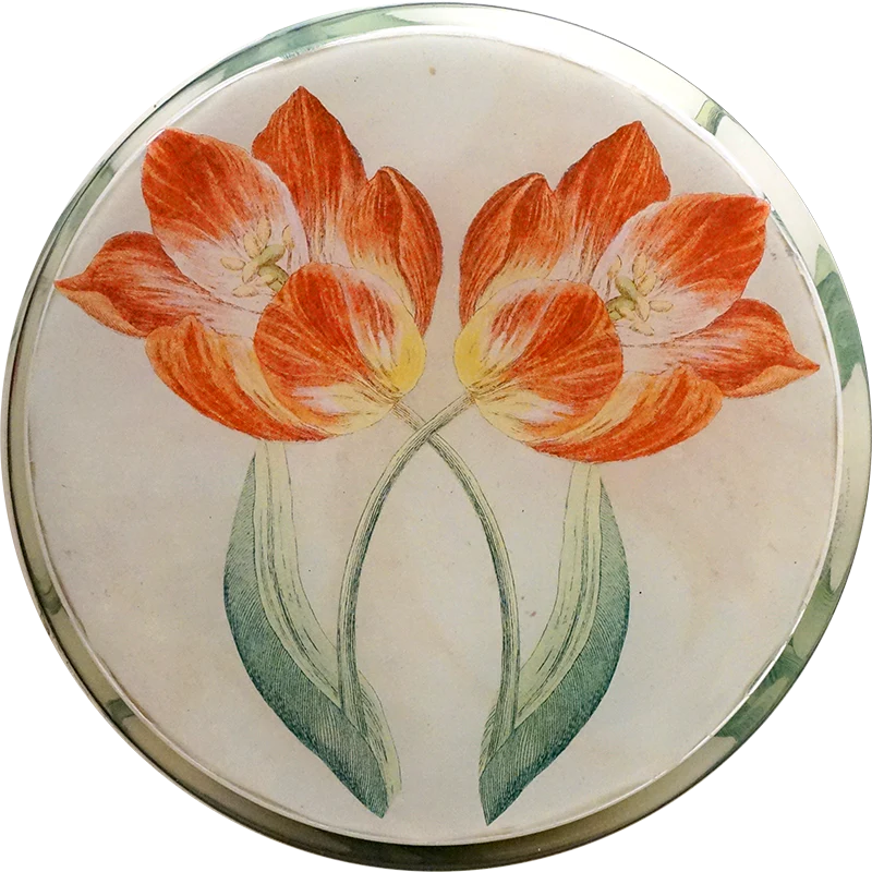 Tulips - Image 3