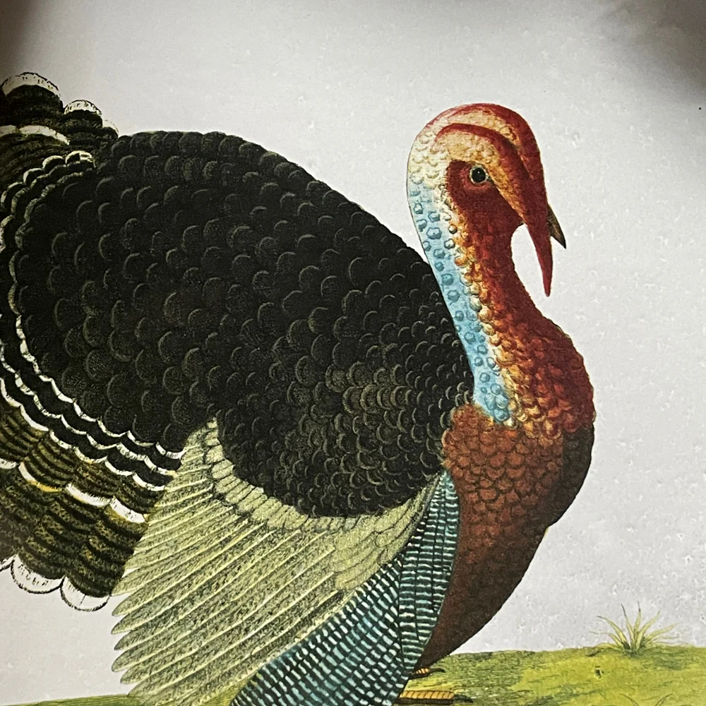 Turkey Platter - Image 2