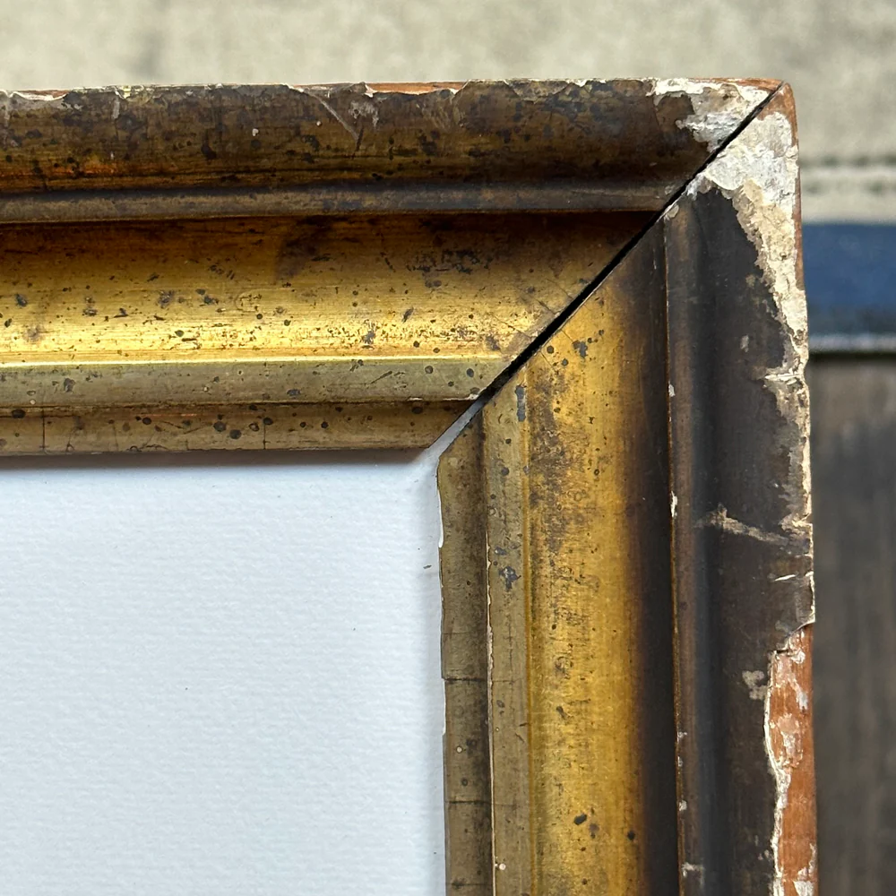 "Turtle" in a Vintage Gilded Frame - Image 2