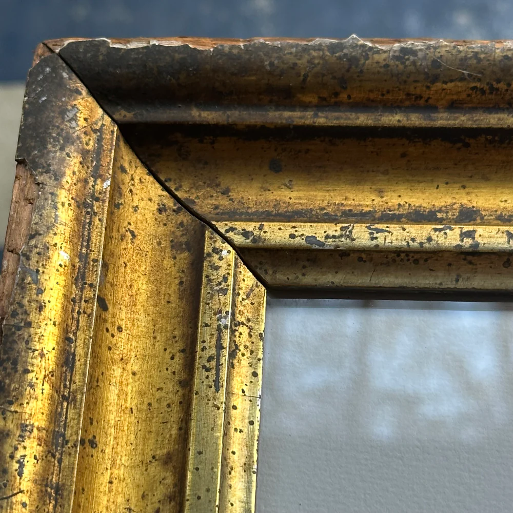 "Turtle" in a Vintage Gilded Frame - Image 3