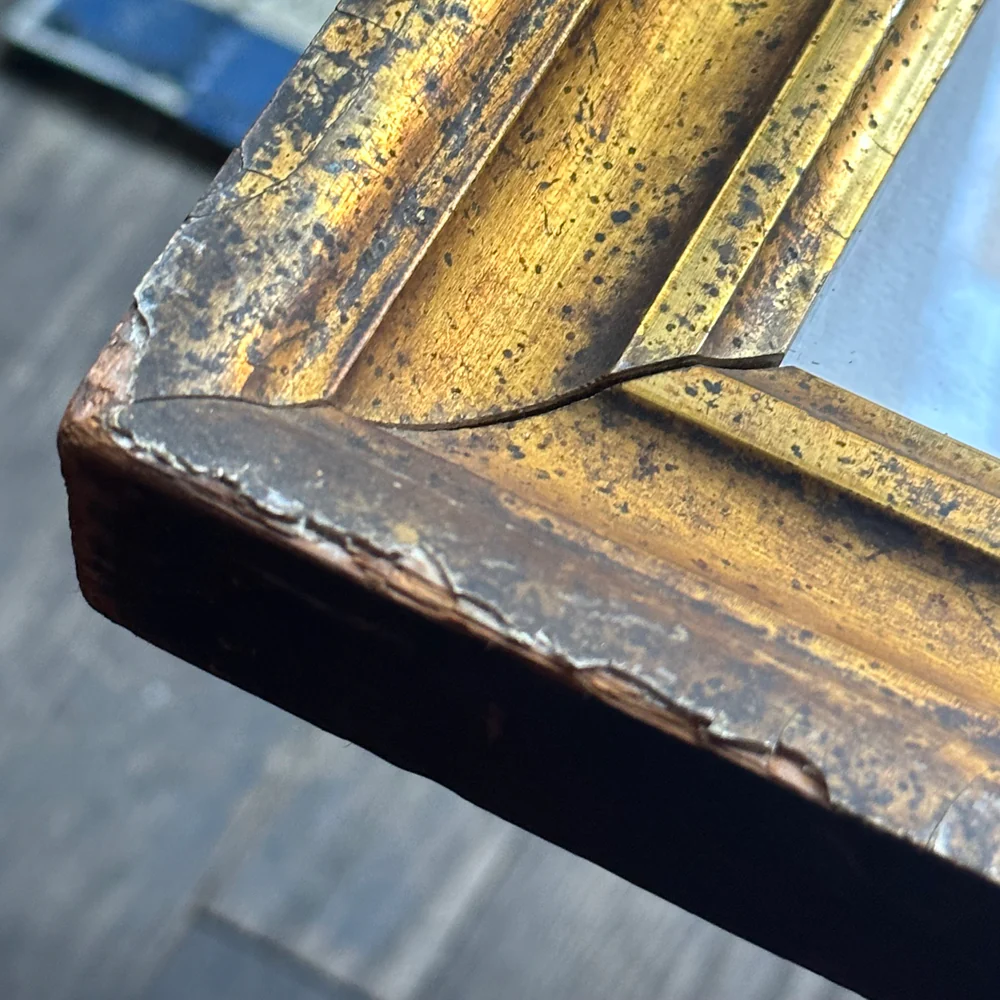 "Turtle" in a Vintage Gilded Frame - Image 4