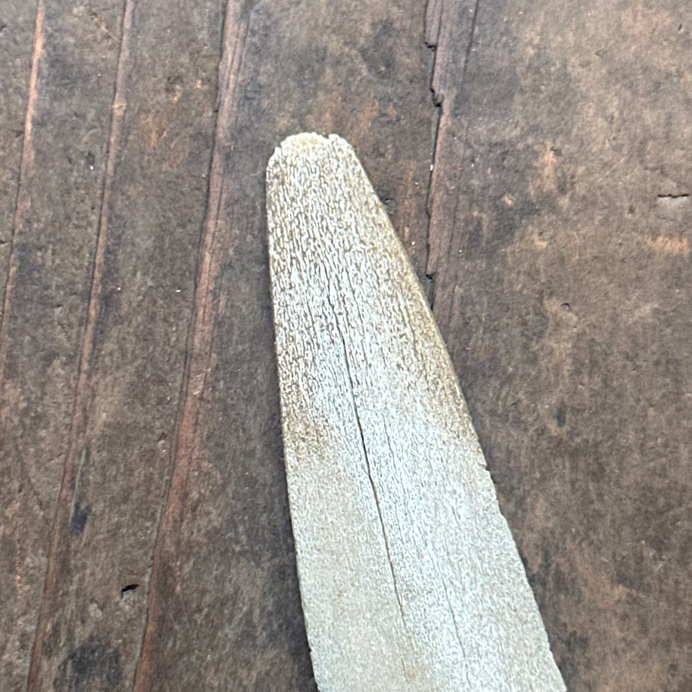 Vintage 35" Swordfish Rostrum - Image 2