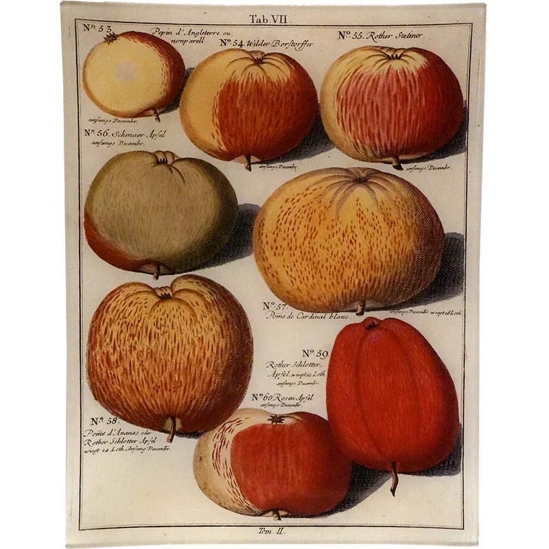 Wild Apples