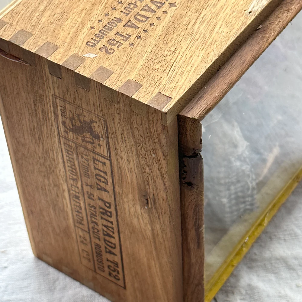"Yellow Bunk" Assemblage - Image 5